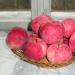 Особливості яблуні сорту Мельба, її основні переваги та недоліки